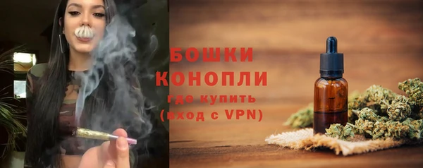 mdpv Снежинск