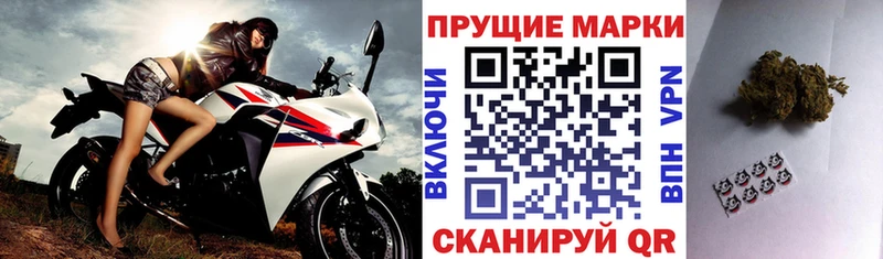сайты даркнета состав  Судак  Марки N-bome 1500мкг 